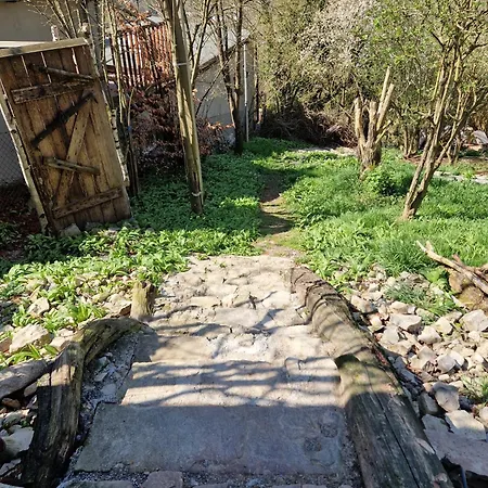 Henrys Cozy Tiny House - Ruhig, Garten, Terrasse Wurzburg Exterior photo